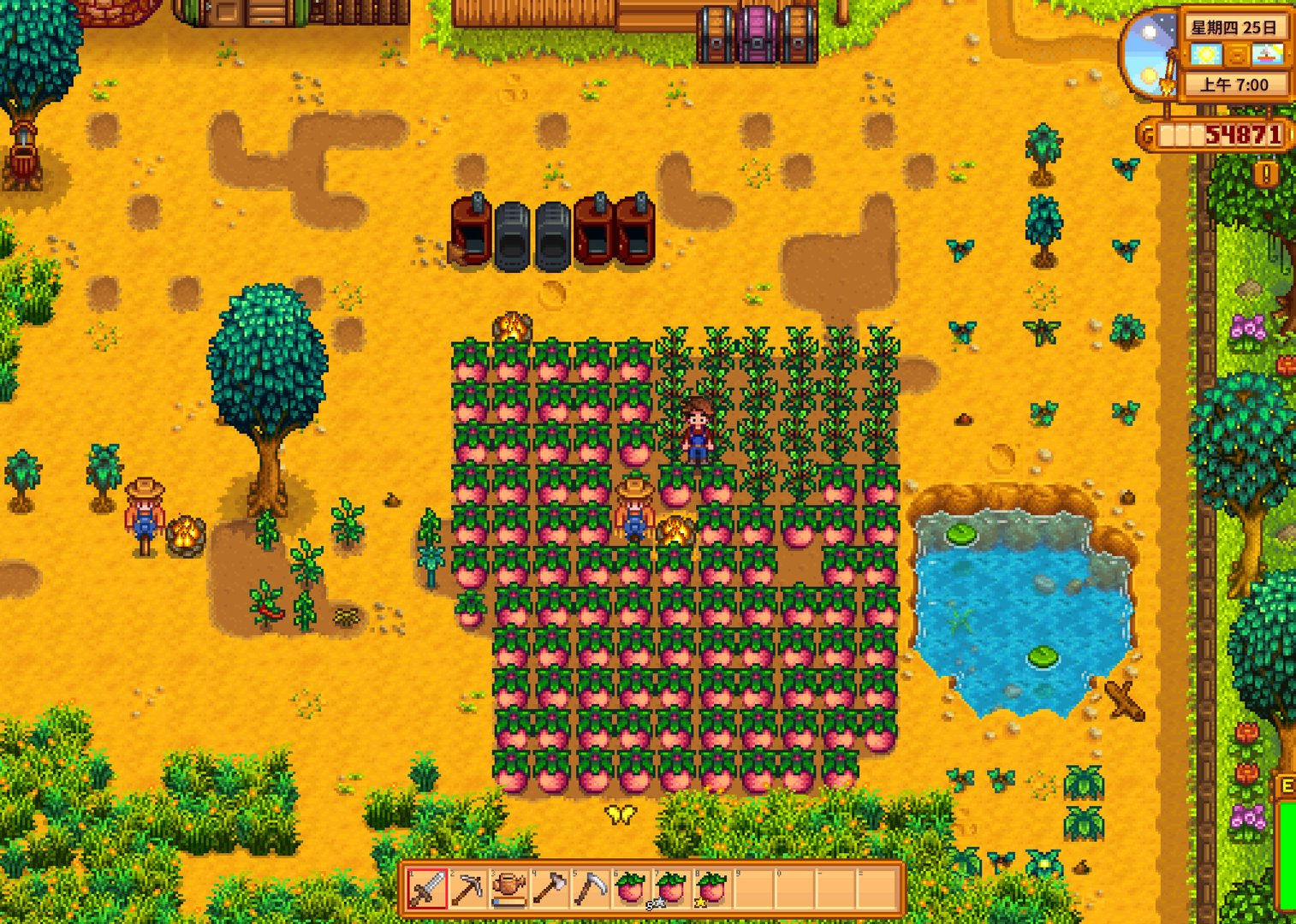 全面战争：三国 截图10