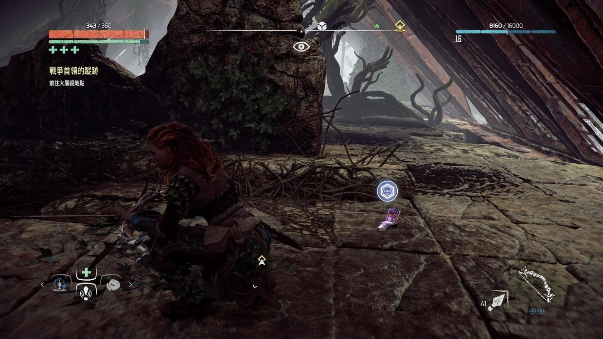 地平线：零之曙光 年度版 截图21