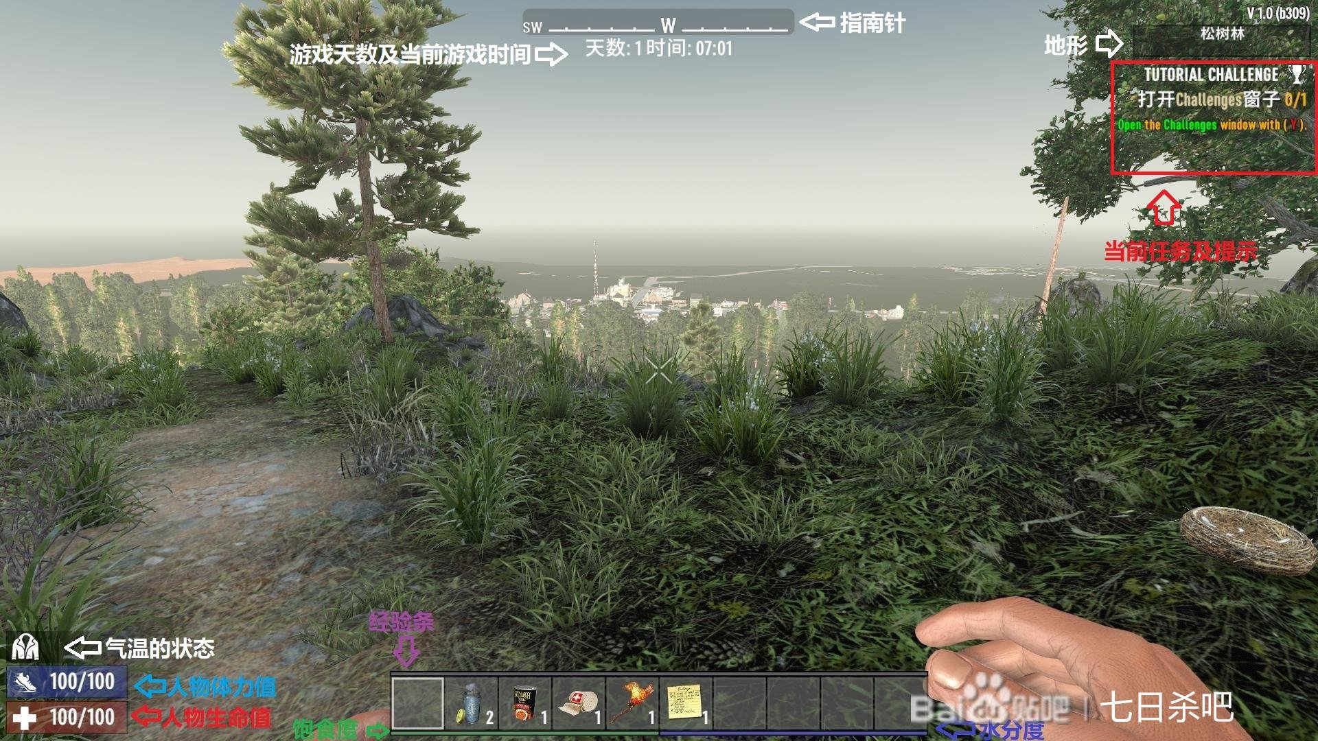 只狼：影逝二度 完整版 截图8