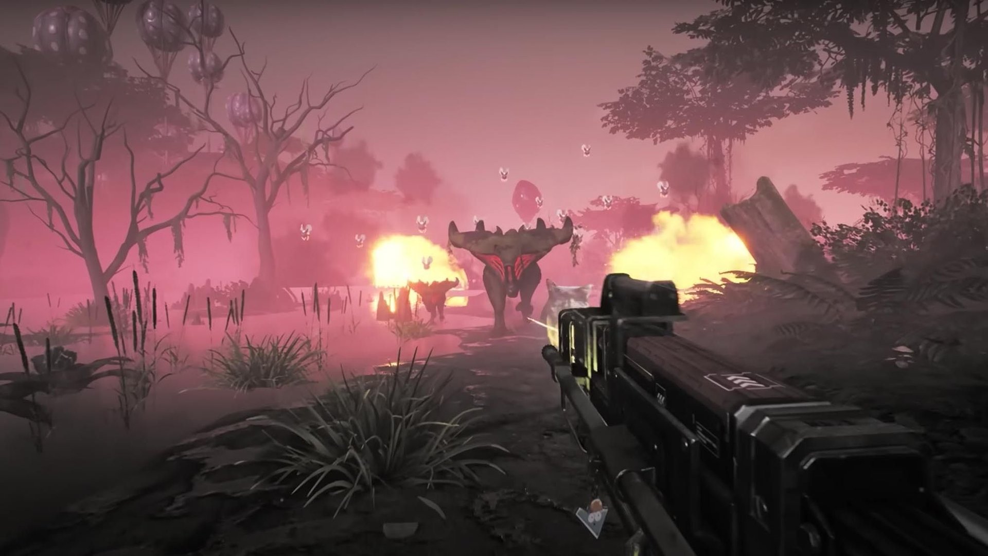 绝地求生 截图8