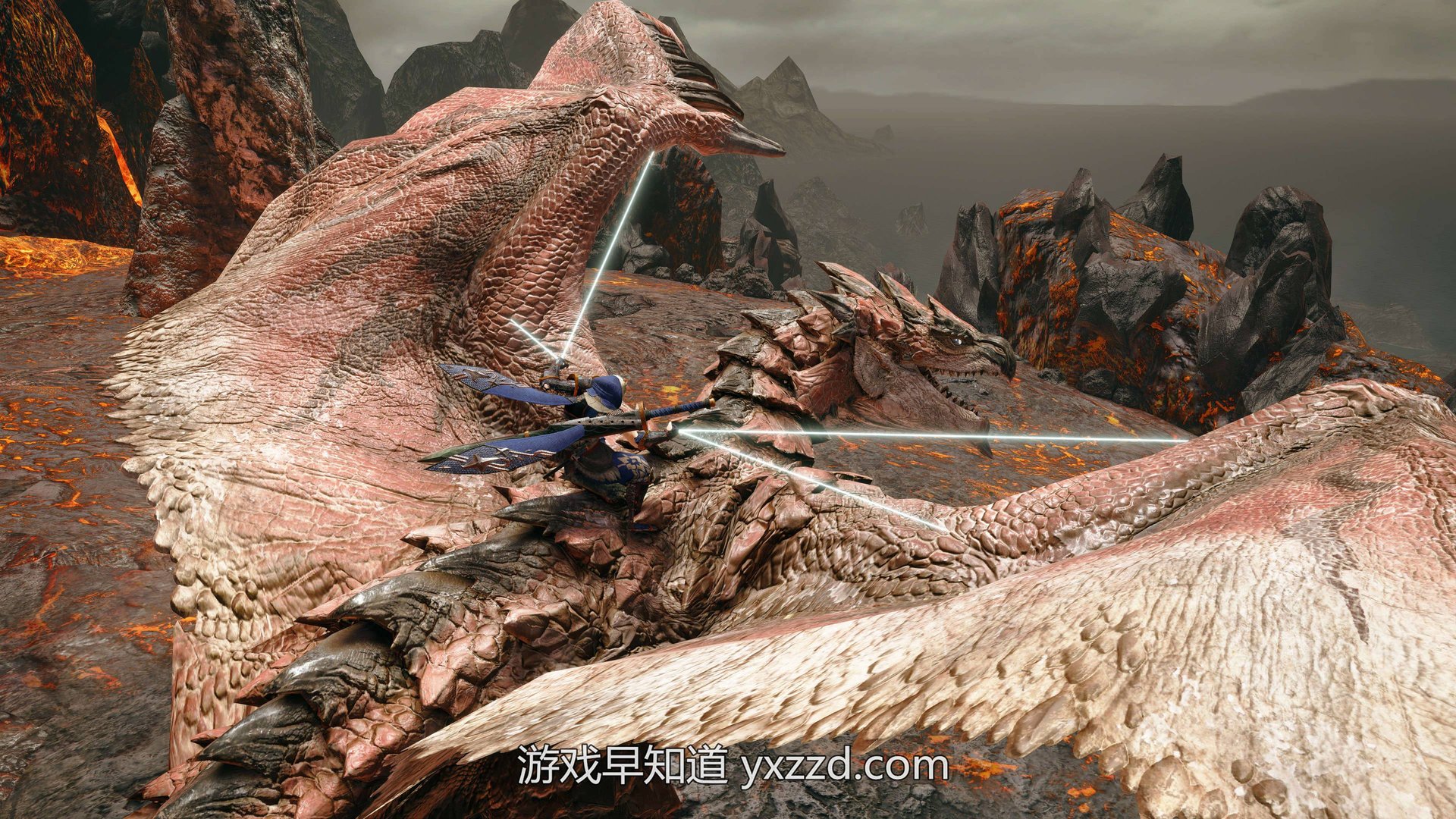 地平线：零之曙光 年度版 截图13